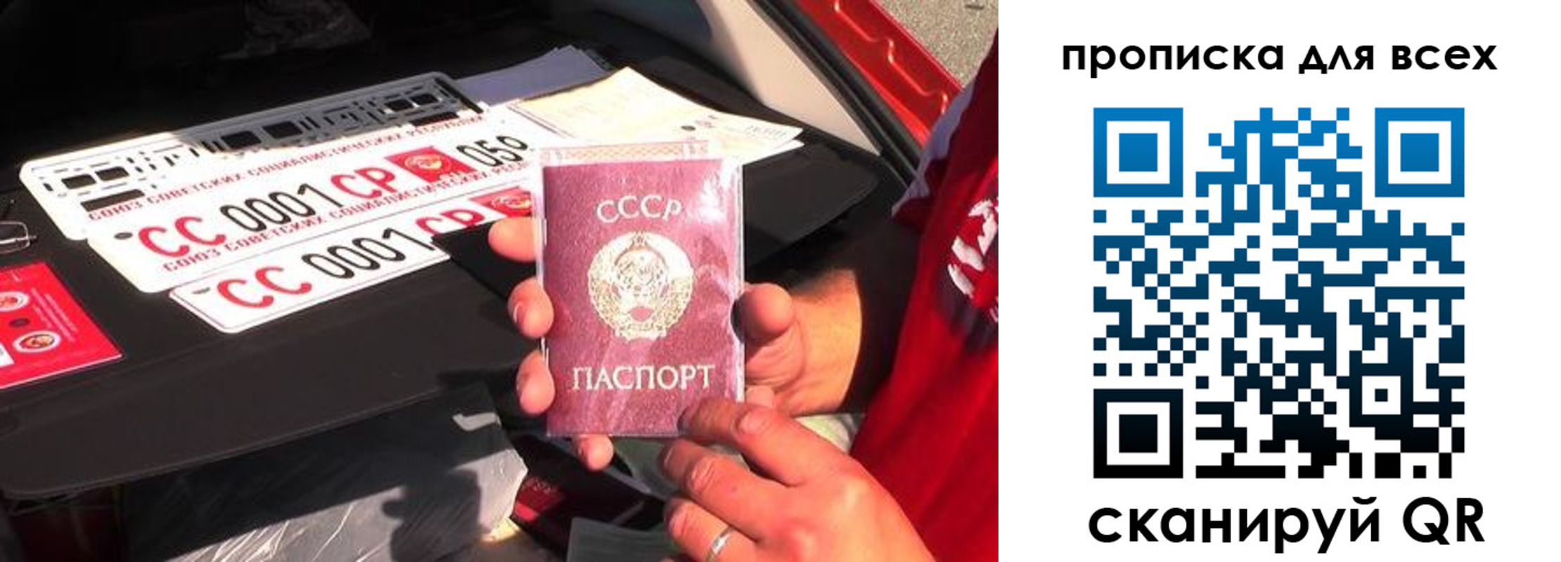 прописка для школы в Струнино
